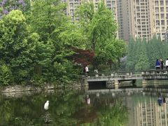 -成都南湖公园