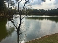 -南京市无想山景区