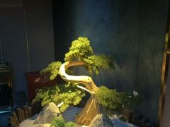 -陆琴脚艺·足浴·SPA(夫子庙店)