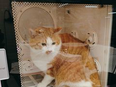 -FAELING PETS美天灵宠物(富力广场店)