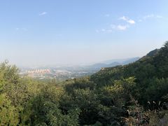 -阳台山自然风景区