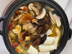 -蘑统田下·野生菌火锅