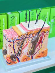 -清颜堂专业祛痘