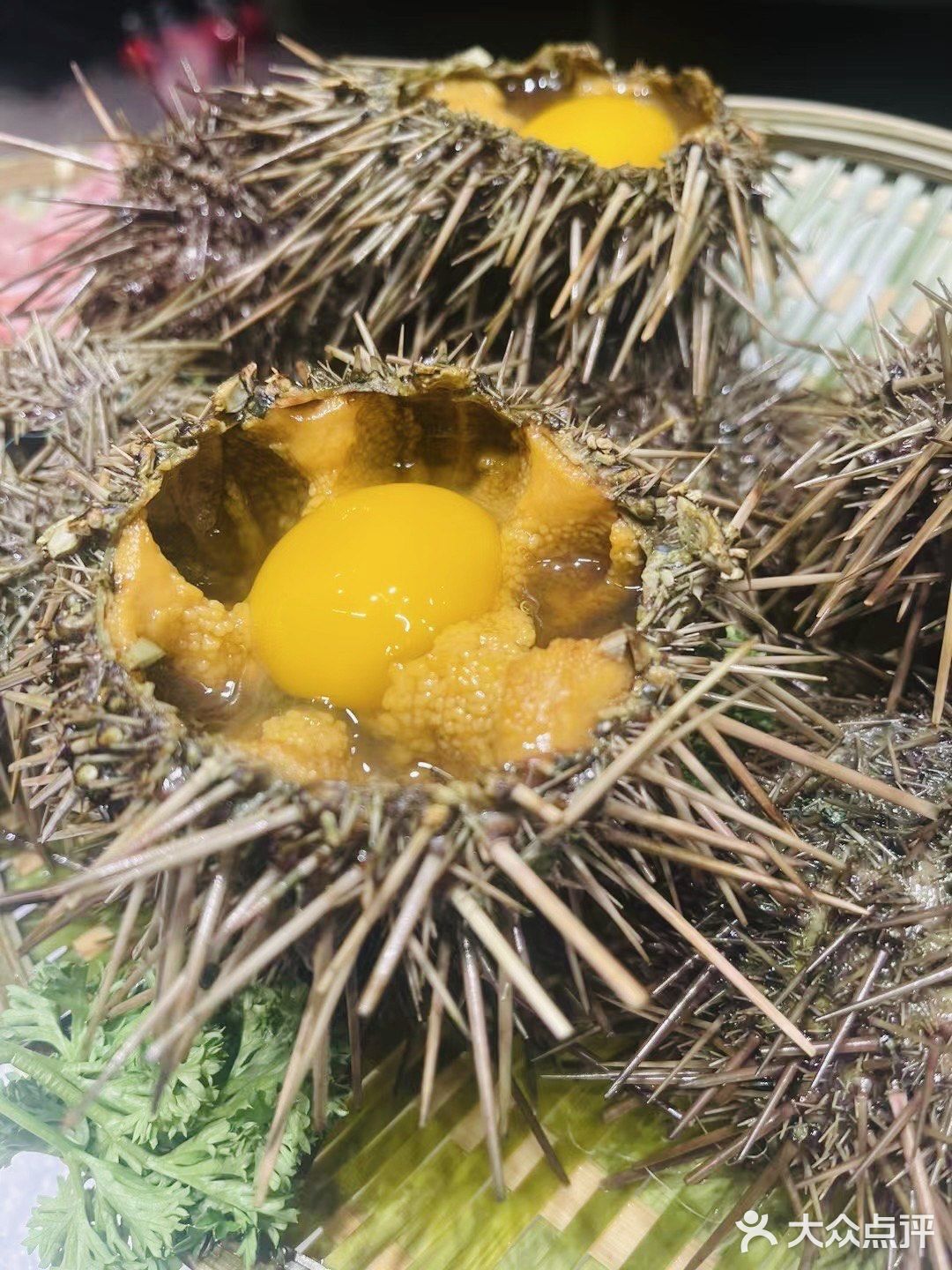 蓝珊瑚蒸汽海鲜 🦞 平价海鲜店 海鲜很新鲜