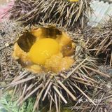 蓝珊瑚蒸汽海鲜 🦞 平价海鲜店 海鲜很新鲜