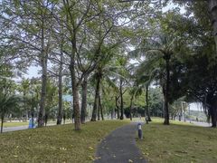 -深圳湾公园(南山区)