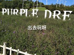 -沈阳植物园