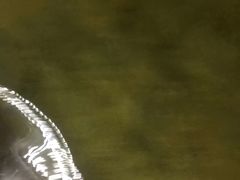 -会江钓鱼钓虾烧烤场