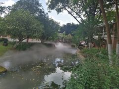 -名树园