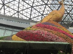 -花之城