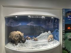-中国第四纪冰川遗迹陈列馆