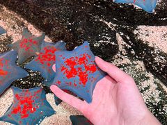 -沈阳海洋探索中心