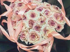 -溪岸路花鸟市场