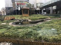 -星巴克(北京西大望路温特莱店)