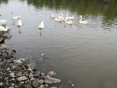 -河北村民俗体验园