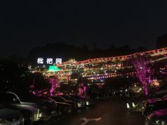 -枇杷园食为鲜火锅(南山店)