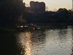 -柳侯公园