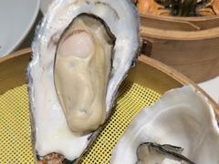 -杨氏青龙虾·羊蝎子(金盛路总店)