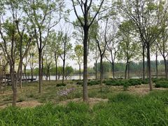 -东郊湿地公园