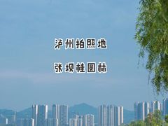 -张坝桂圆林公园
