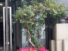 -瓦库茶馆17号(海汇港店)