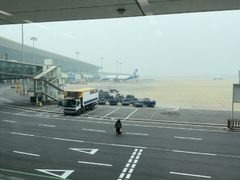 -郑州新郑国际机场-T2航站楼