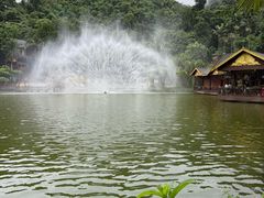 -西双版纳原始森林公园