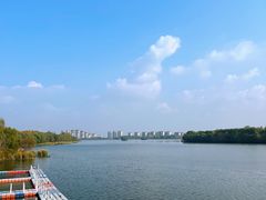 -沈阳鸟岛