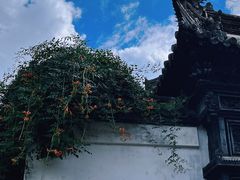 -豫园