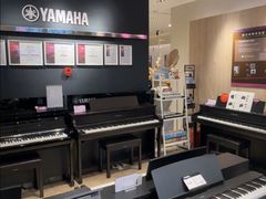 -雅歌音乐培训中心·钢琴培训·乐器培训(交道口店)