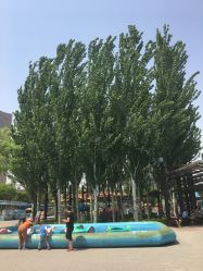 -大望京儿童游乐场