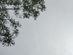 -朝鲜玉流馆(滨河东路店)