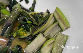 Mountain Red Turnip Greens