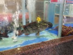 -大铁勺新津菜(迎水道店)