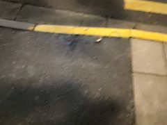 -小杨生煎(黄河路店)