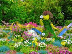 -上海共青森林公园