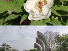 -太阳宫公园
