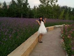 -长春公园(普阳街道)