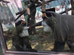 -无锡动物园·太湖欢乐园