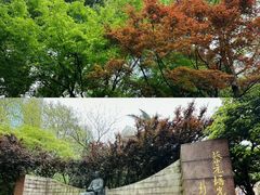 -静安公园(静安寺街道)