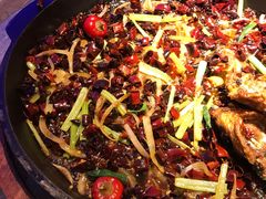 -老板恋上鱼(恒隆广场店)