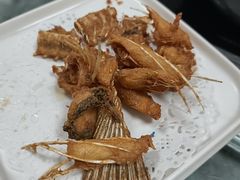 -源港渔村-中山脆肉鲩(博罗店)