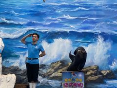 -左海海底世界