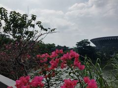 -中国移动南方基地