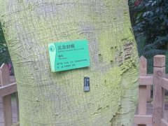 -华南国家植物园-售票处