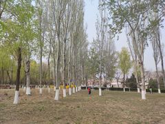 -东升八家郊野公园