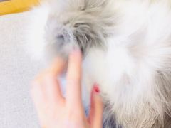 -小意思咖啡店(草桥店)