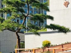 -国庆寺
