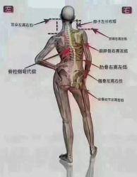 -名发世家烫染