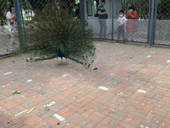 -长白岛森林公园